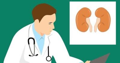 kidney transplantation surgery in hindi